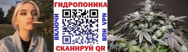 хочу наркоту  Красавино  Канабис SATIVA & INDICA 